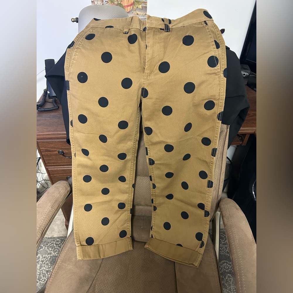 COPY - J crew pants